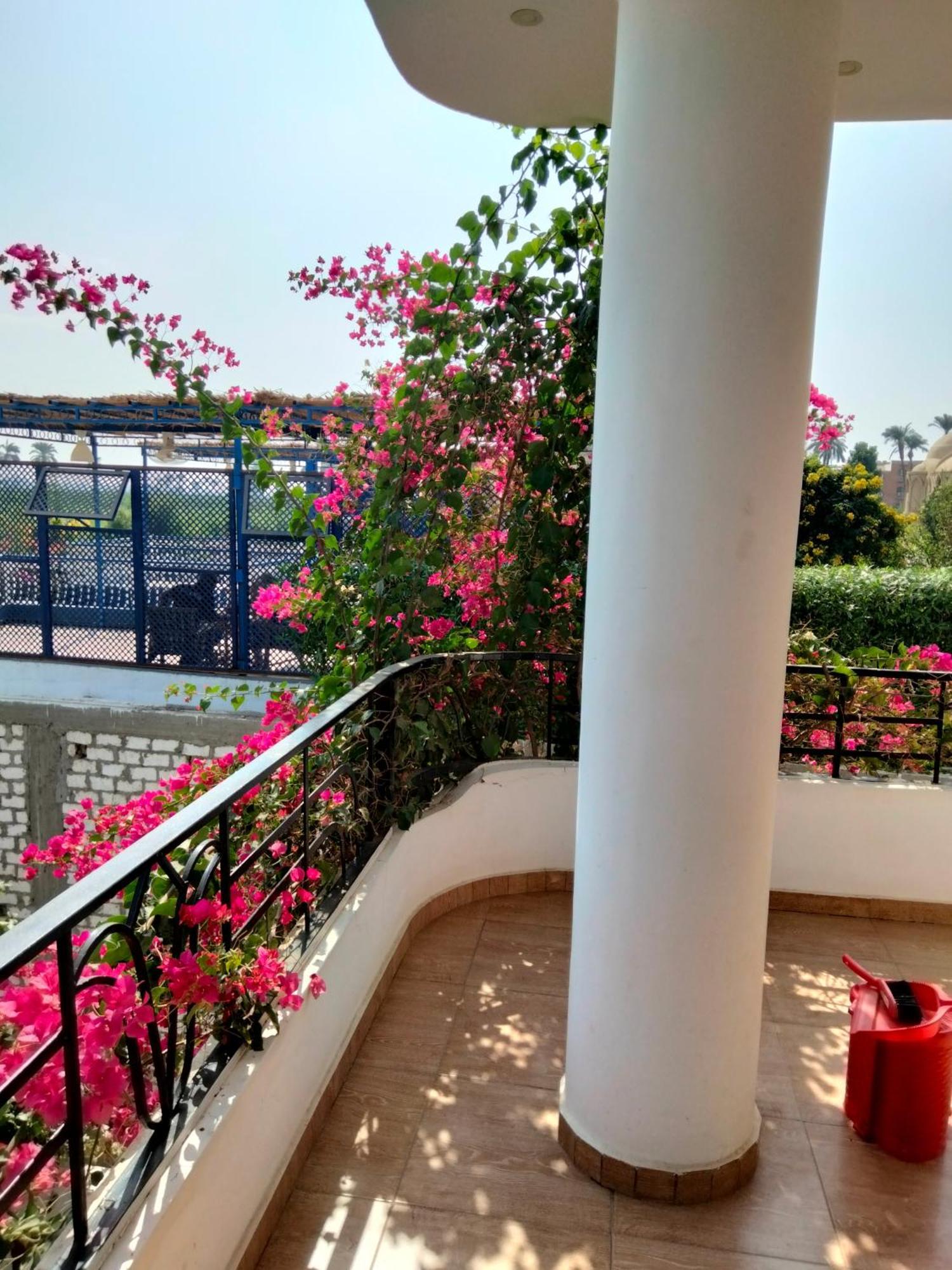 Villa Quiet Place Луксор Стая снимка
